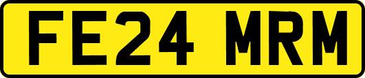 FE24MRM
