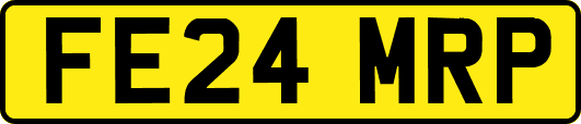 FE24MRP