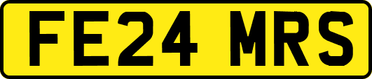 FE24MRS