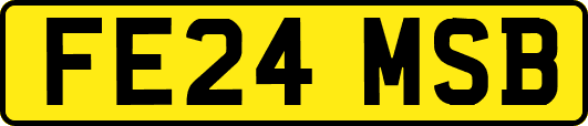 FE24MSB