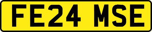 FE24MSE