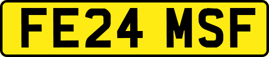 FE24MSF