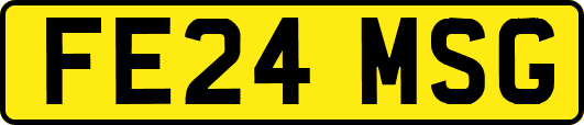 FE24MSG