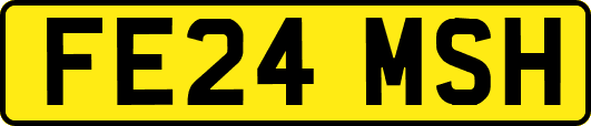 FE24MSH