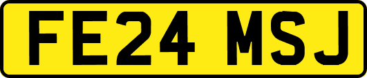 FE24MSJ