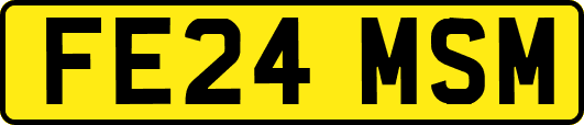 FE24MSM