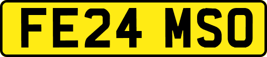FE24MSO