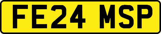 FE24MSP
