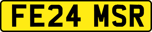 FE24MSR