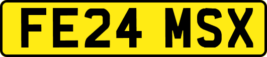 FE24MSX