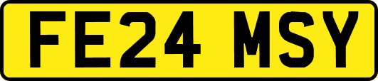 FE24MSY