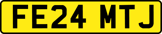 FE24MTJ