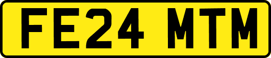 FE24MTM