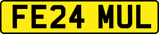 FE24MUL