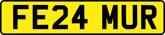 FE24MUR