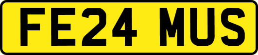 FE24MUS