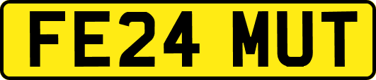 FE24MUT