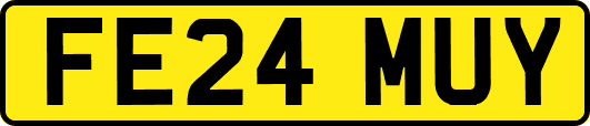 FE24MUY
