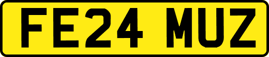 FE24MUZ
