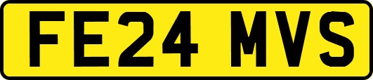 FE24MVS