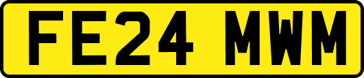 FE24MWM