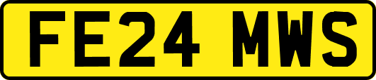 FE24MWS