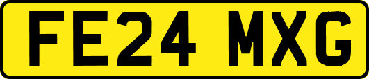 FE24MXG