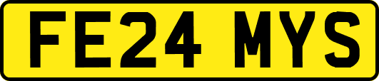 FE24MYS