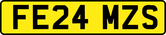 FE24MZS