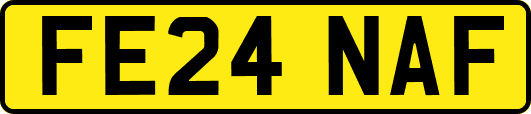 FE24NAF