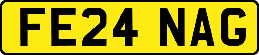 FE24NAG