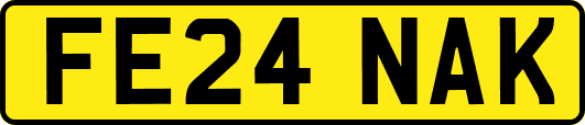 FE24NAK