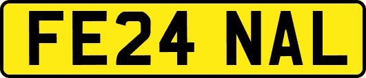 FE24NAL