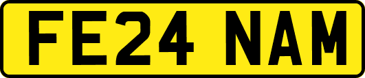 FE24NAM