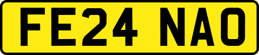 FE24NAO