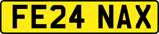 FE24NAX