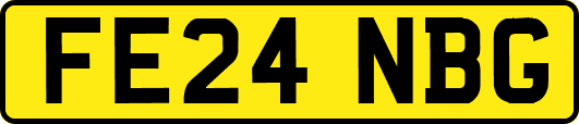 FE24NBG