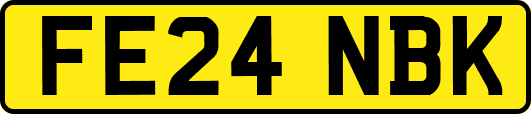 FE24NBK