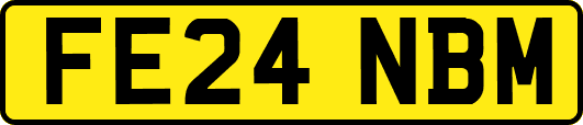 FE24NBM
