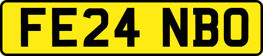 FE24NBO