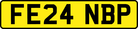 FE24NBP