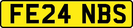 FE24NBS