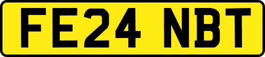 FE24NBT