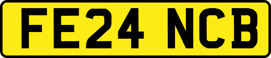 FE24NCB
