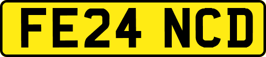 FE24NCD