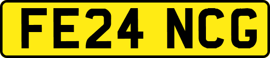 FE24NCG