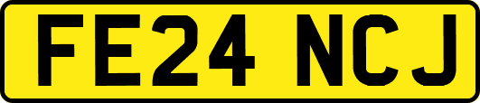 FE24NCJ