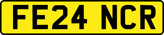 FE24NCR