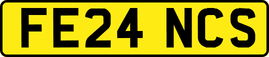 FE24NCS
