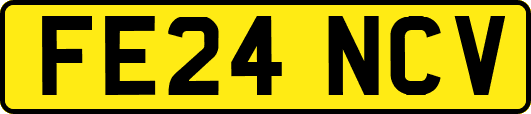 FE24NCV